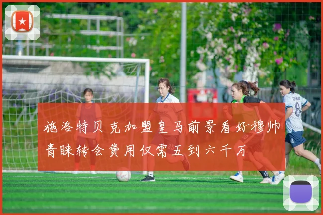 施洛特贝克加盟皇马前景看好穆帅青睐转会费用仅需五到六千万