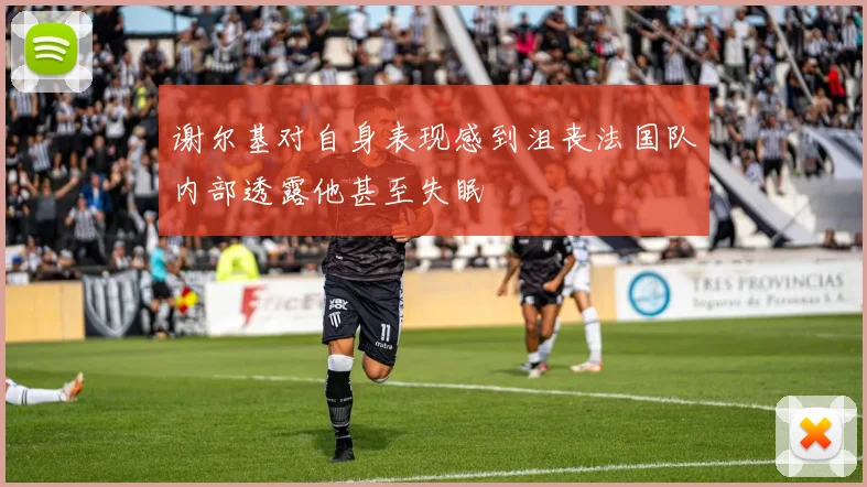谢尔基对自身表现感到沮丧法国队内部透露他甚至失眠