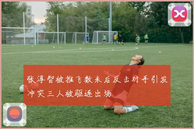 张淳智被推飞数米后反击对手引发冲突三人被驱逐出场