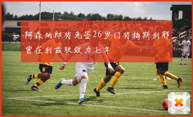 阿森纳即将免签26岁门将梅斯利耶曾在利兹联效力七年